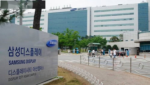 三星顯示獲 零廢料 最高規(guī)格綠色環(huán)保認(rèn)證