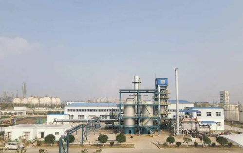 重磅 總投資2.4億元,荊門又一重大項目正式投產