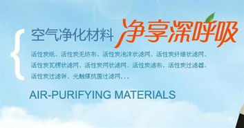 江蘇三友環保科技公司,業屆 碳博士 ,霧霾巨人殺手