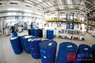 藍(lán)洋環(huán)保科技投產(chǎn) 科技賦能環(huán)保新篇章