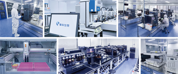 擎科生物獲4億元B輪融資，加速布局'基因工廠'建設(shè)與環(huán)?？萍紕?chuàng)新