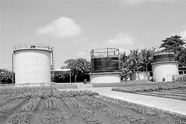 環(huán)?？萍及珈n鋼鐵營(yíng)盤 燃料徹底實(shí)現(xiàn)沼氣化